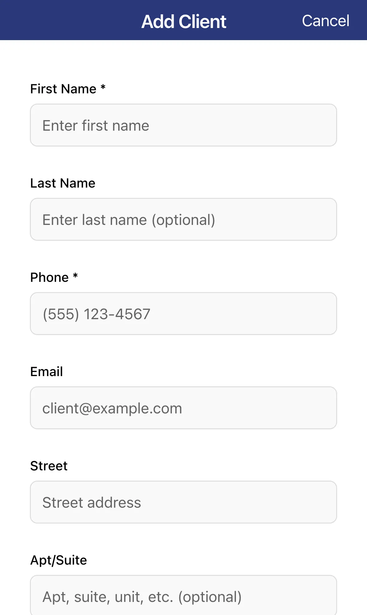 The client form with First Name, Last Name, Phone and Email