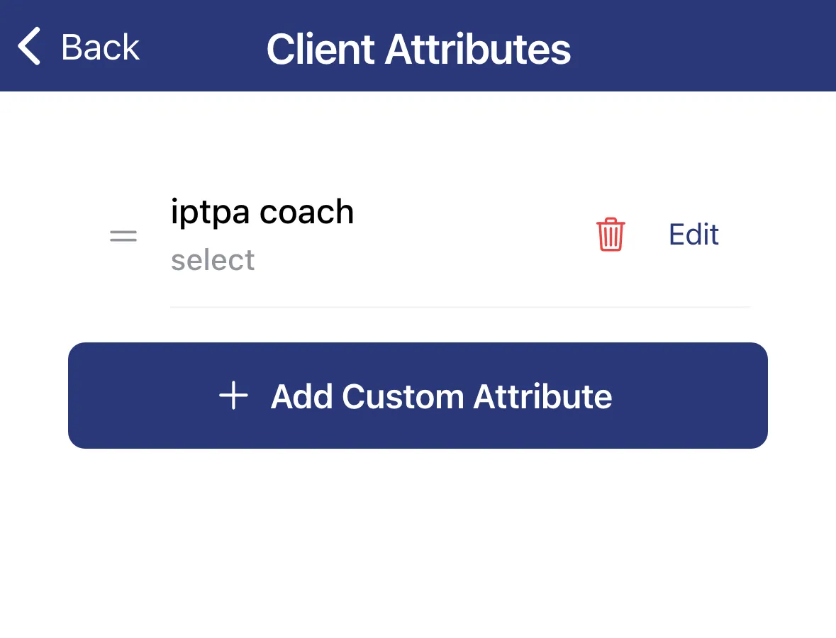 The top of the Client Attributes list, showing built-in SYSTEM attributes