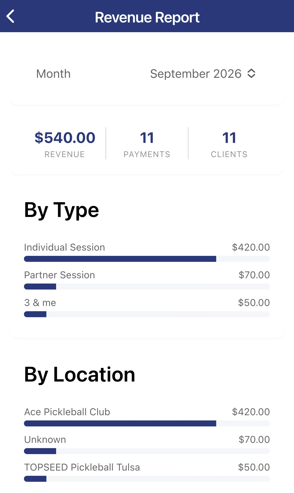 The Revenue Report with monthly totals and a By Type breakdown